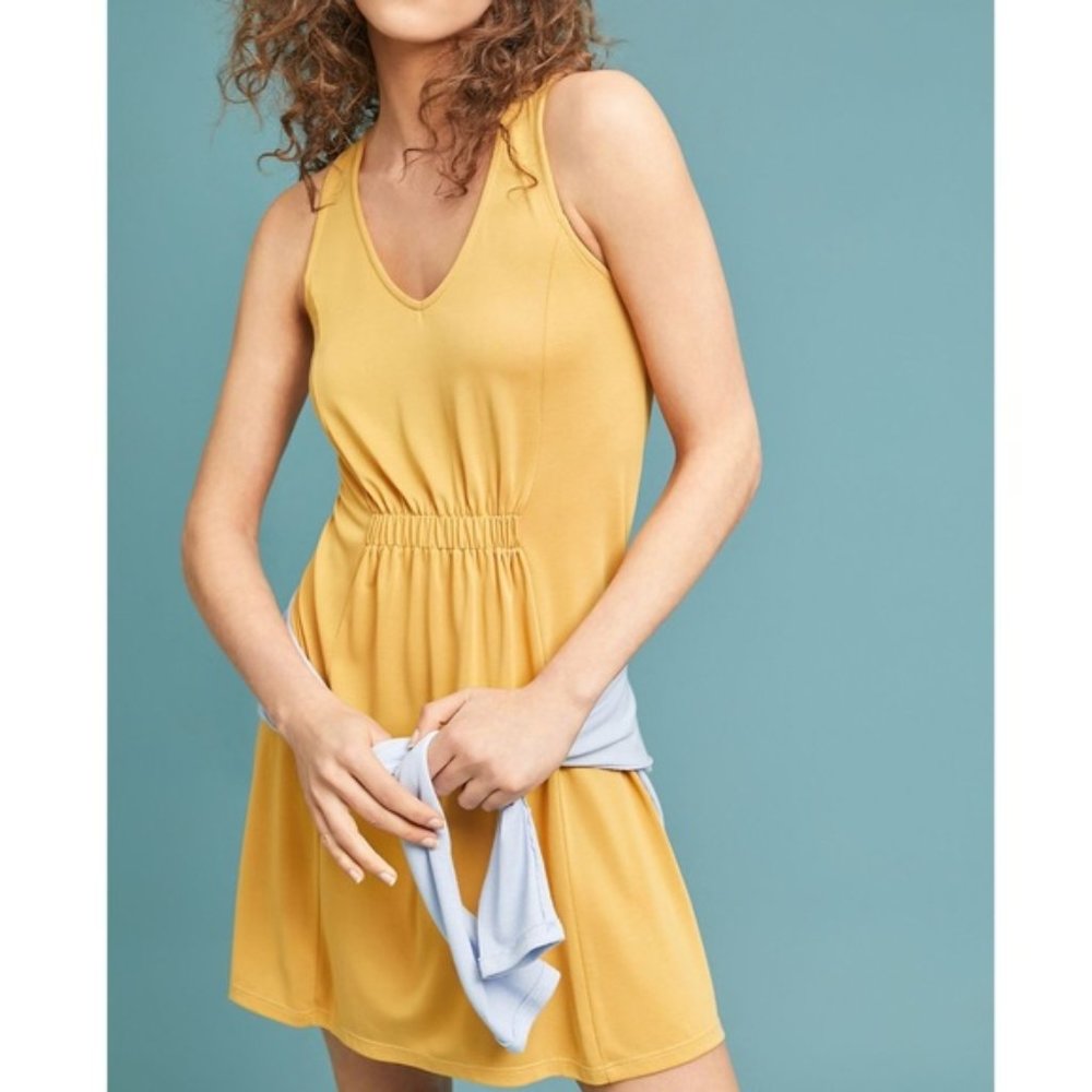 Anthropologie Allison Waisted Dress